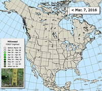 Map of milkweed emergence: Spring 2016