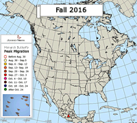 Monarch Butterfly Migration Map: Peak Migration Fall 2016