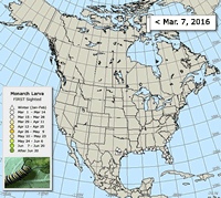 Monarch butterfly migration map