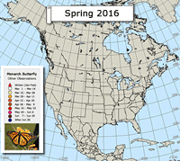 Monarch butterfly migration map