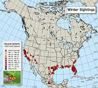 Monarch butterfly migration map