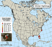 2017 Ruby-throated Hummingbird Migration Map