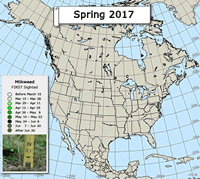 Map of milkweed emergence: Spring 2017