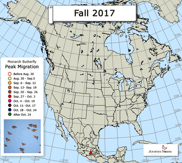 Monarch Butterfly Migration Map: Peak Migration Fall 2017