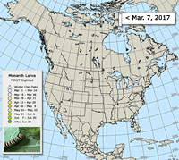 Monarch butterfly migration map
