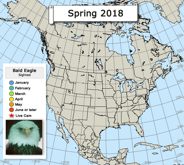 Eagle Migration Map