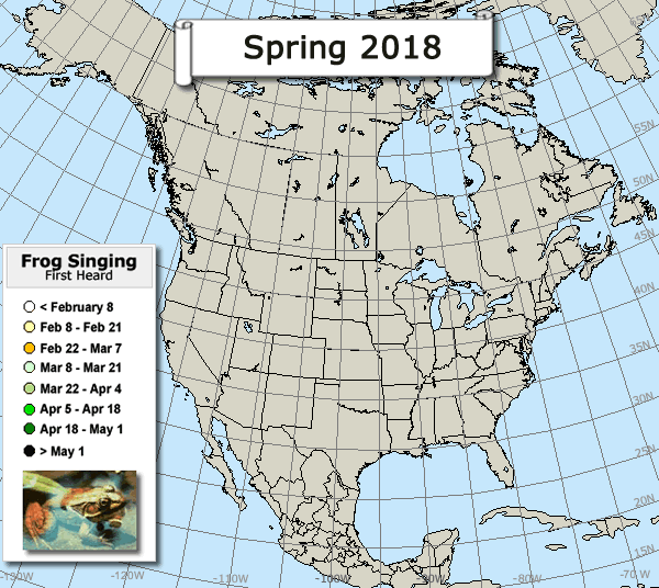 Frog spring map
