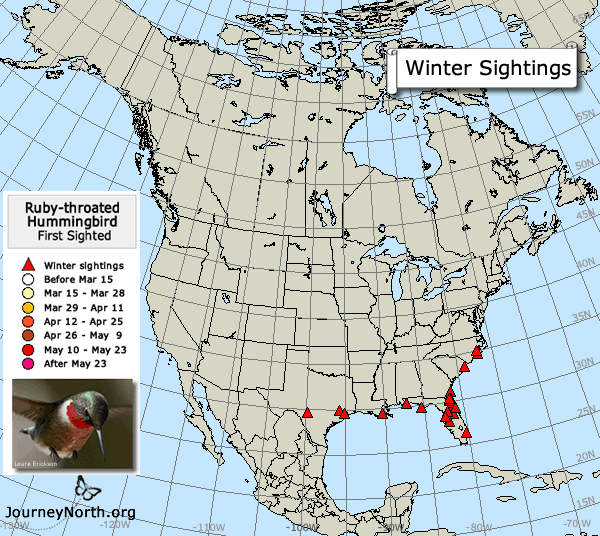 2018 Ruby-throated Hummingbird Migration Map
