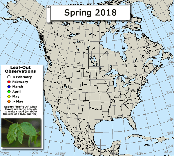Leaf-out map