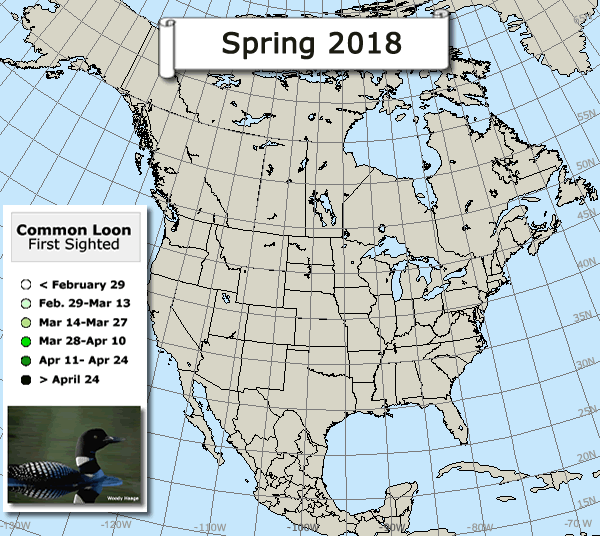Loon migration map