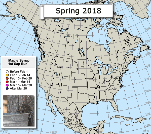 Maple sap first run