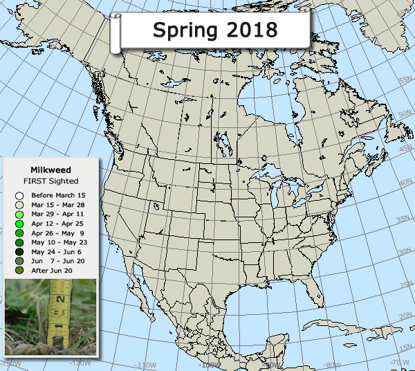 Map of milkweed emergence: Spring 2011