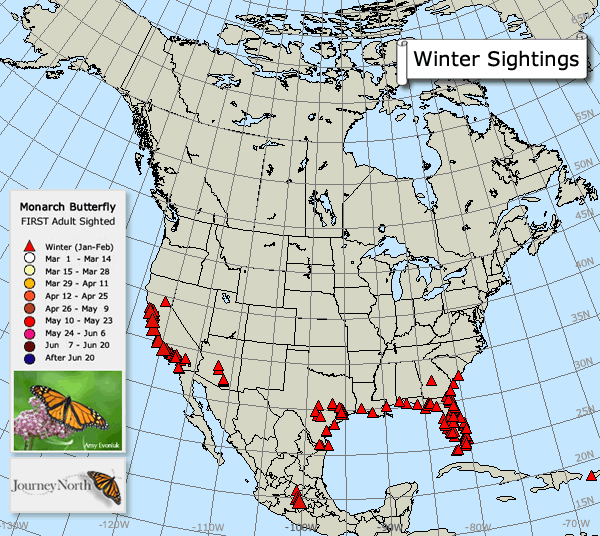 Monarch butterfly spring migration map