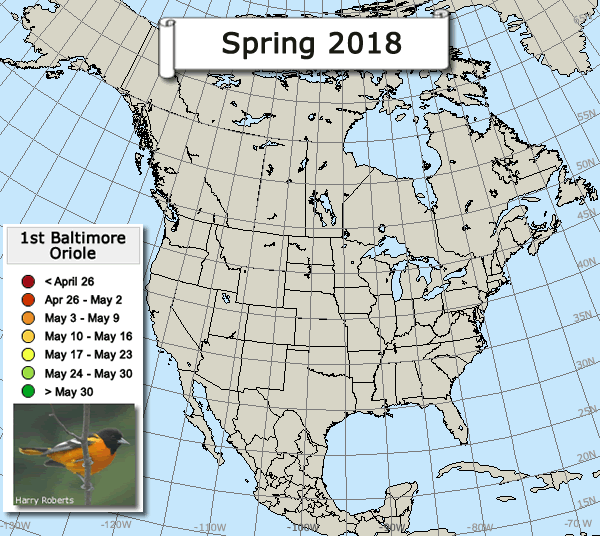 Oriole migration map