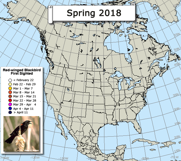 Red-winged blackbird migration map