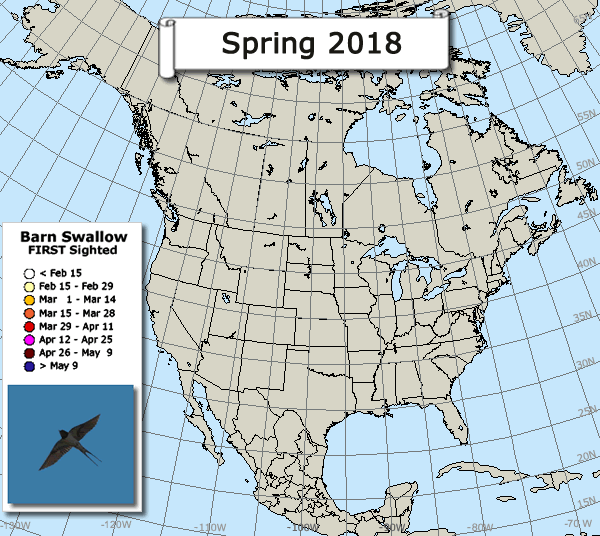 Swallow migration map